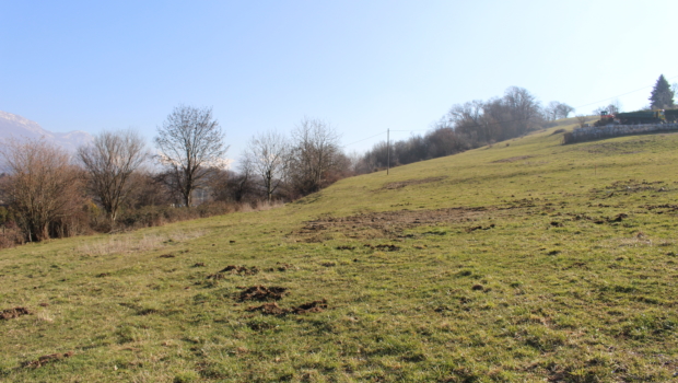 Un panneau a été installé sur le terrain de WoodPark