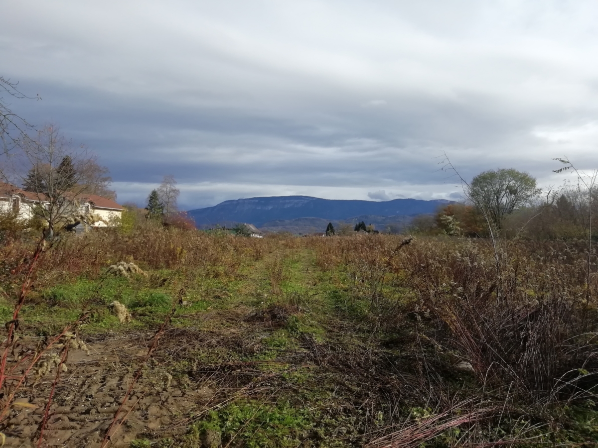 Le Clos des Frênes Lotissement