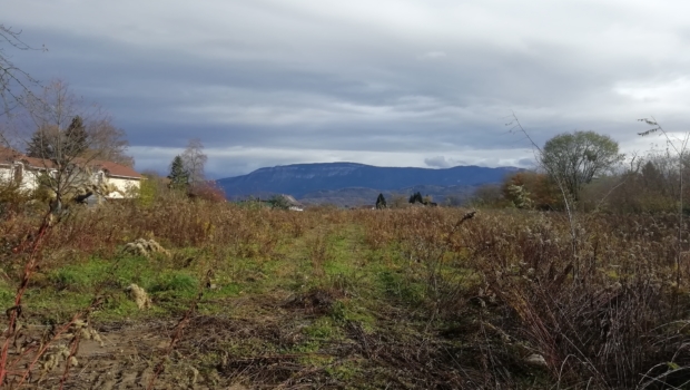 Le Clos des Frênes Lotissement